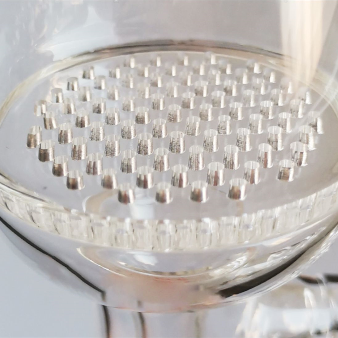 Buchner Filter Funnels with Taper Joint and Vacuum Side Hose (Perforated Glass Plate)